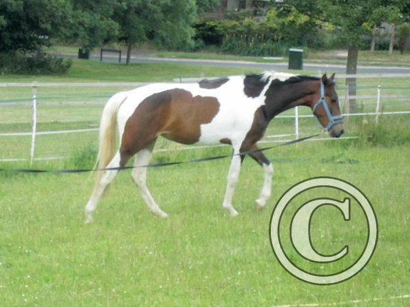 Ghost 2nd time lunge (24)