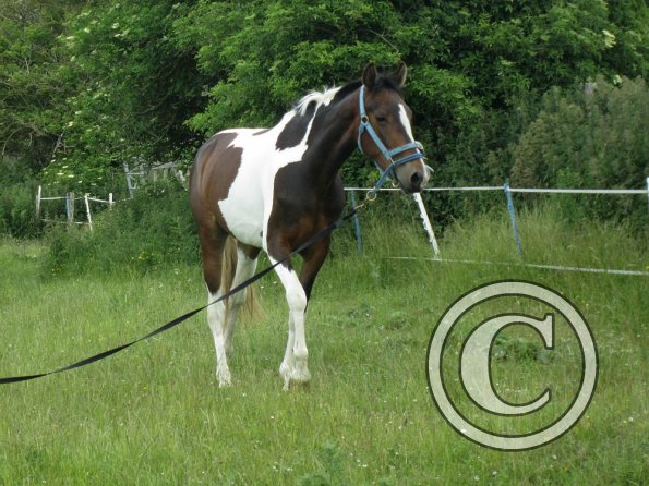 Ghost 2nd time lunge (25)