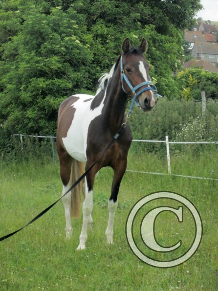 Ghost 2nd time lunge (26)