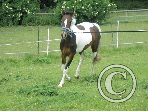 Ghost 2nd time lunge (3)