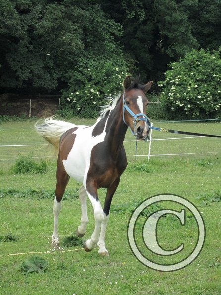 Ghost 2nd time lunge (6)