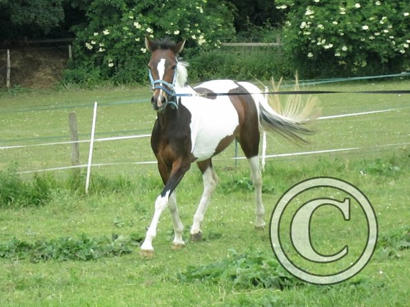 Ghost 2nd time lunge (7)