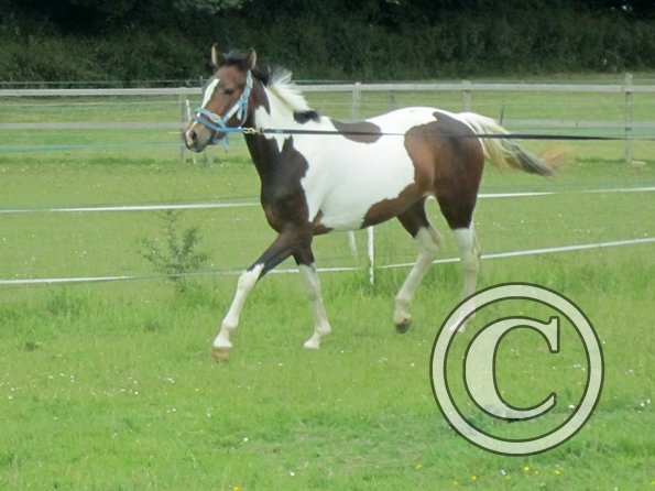 Ghost 2nd time lunge (8)