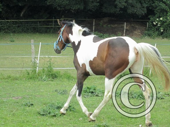 Ghost 2nd time lunge (9)