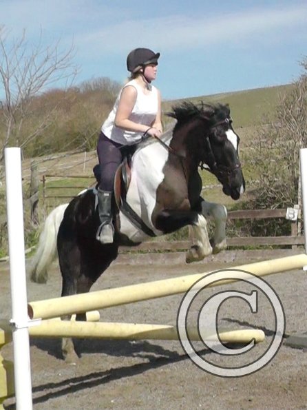 Jade and JD jumping (3)