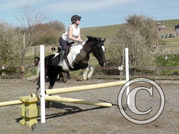 Jade and JD jumping (4)