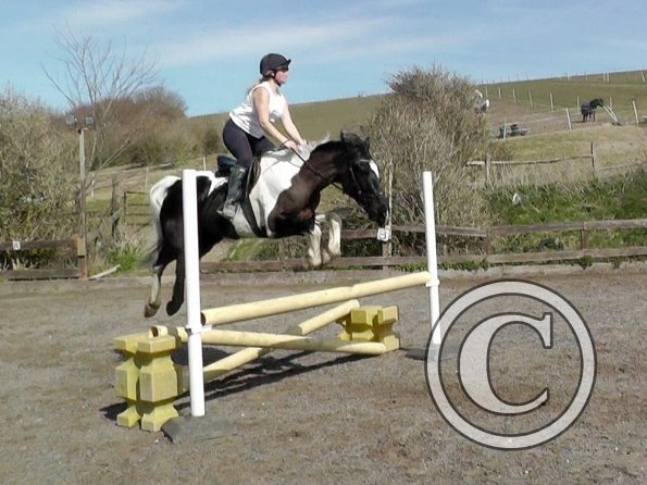 Jade and JD jumping (5)