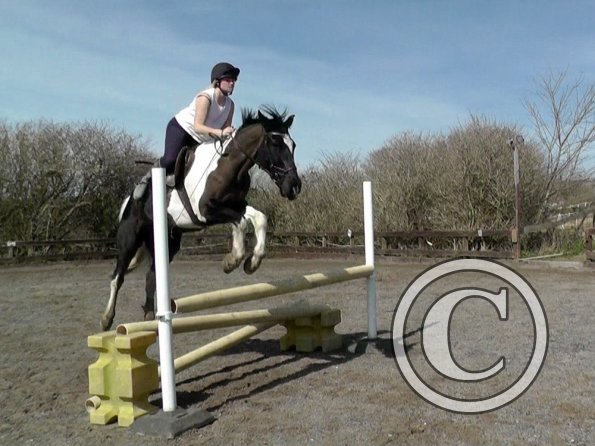 Jade and JD jumping (6)