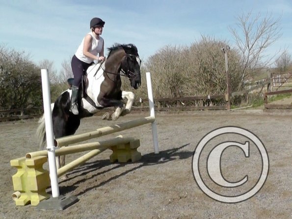 Jade and JD jumping (7)