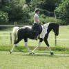 JD Flatwork with Anna (2)