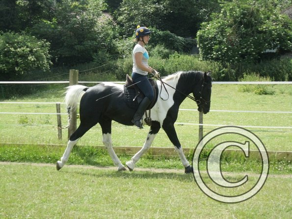 JD Flatwork with Anna (2)