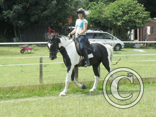 JD Flatwork with Anna (3)