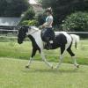 JD Flatwork with Anna (4)