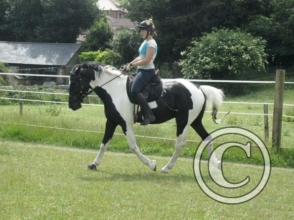 JD Flatwork with Anna (4)