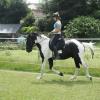 JD Flatwork with Anna (5)