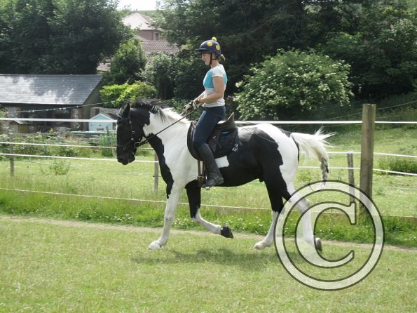 JD Flatwork with Anna (5)