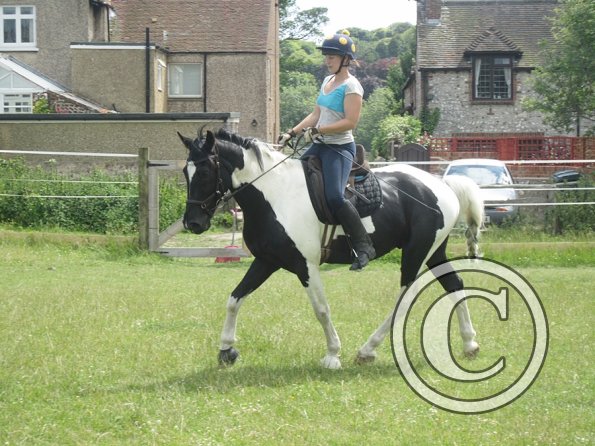 JD Flatwork with Anna (6)