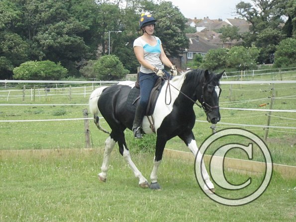 JD Flatwork with Anna (7)