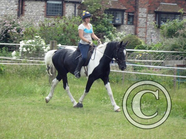 JD Flatwork with Anna