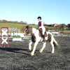 Lancelot jumping (5)