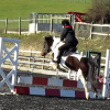 Tilly jumping (2)