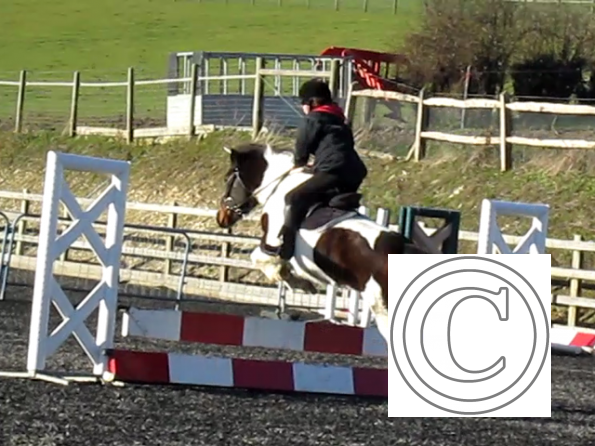Tilly jumping (2)