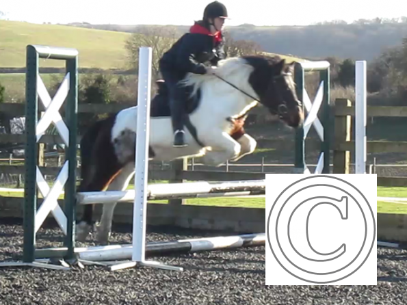 Tilly jumping (4)