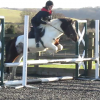 Jumping at Brendon Stud