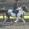 Tilly jumping (5)
