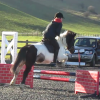 Tilly jumping (7)