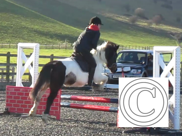 Tilly jumping (7)
