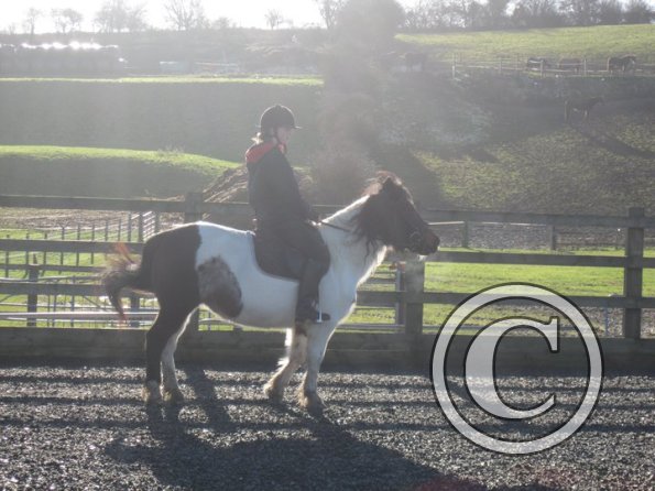 Tilly warming up (3)