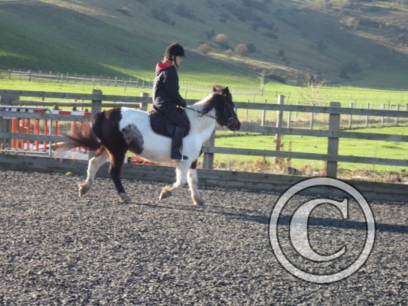 Tilly warming up (5)