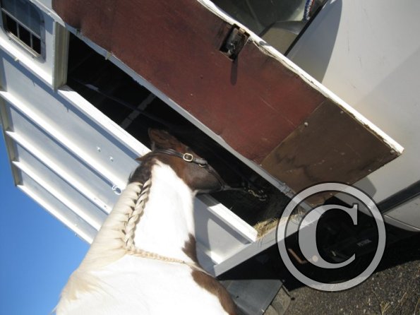 Warming up Lance (2)