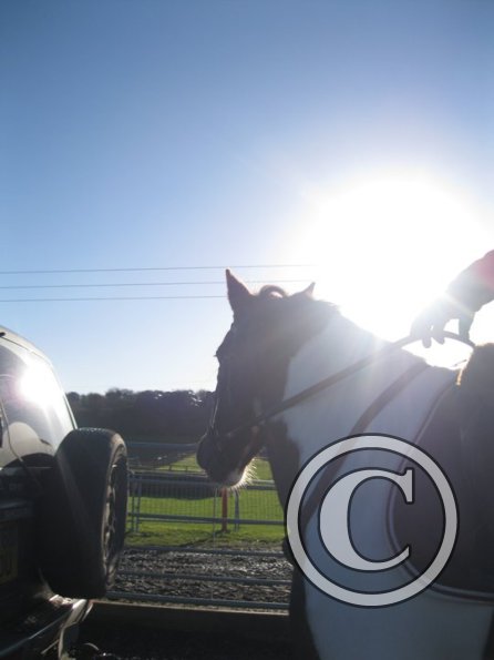 Warming up Lance (5)