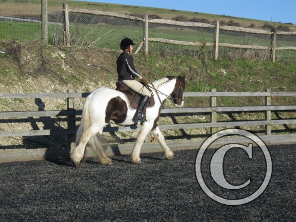 Warming up Lance (6)