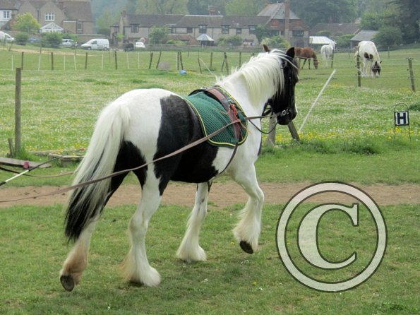 End of sessions (10)