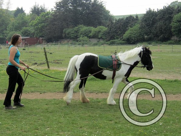 End of sessions (11)