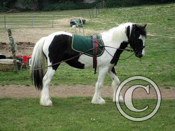 End of sessions (12)