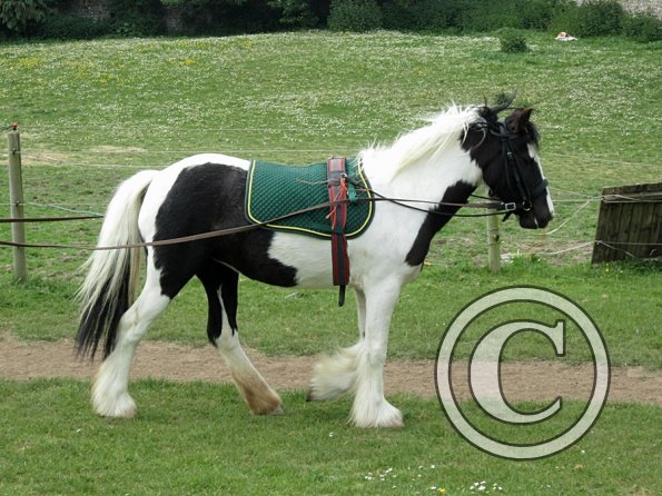 End of sessions (13)