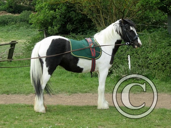 End of sessions (14)