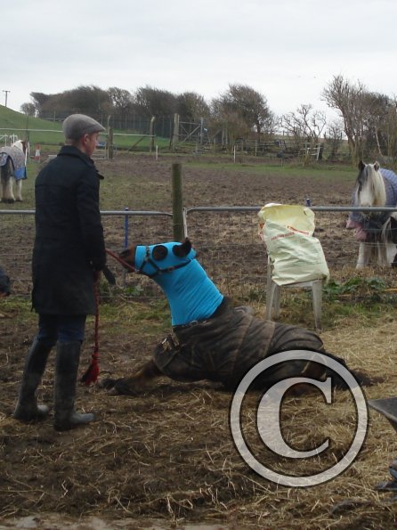 Bubbles lying down 2