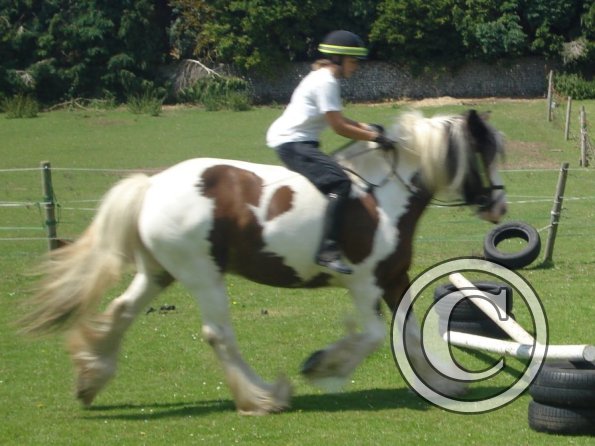 The kids cant take jumping photos!