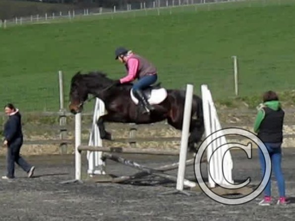 Nikki Rhi warmup (2)