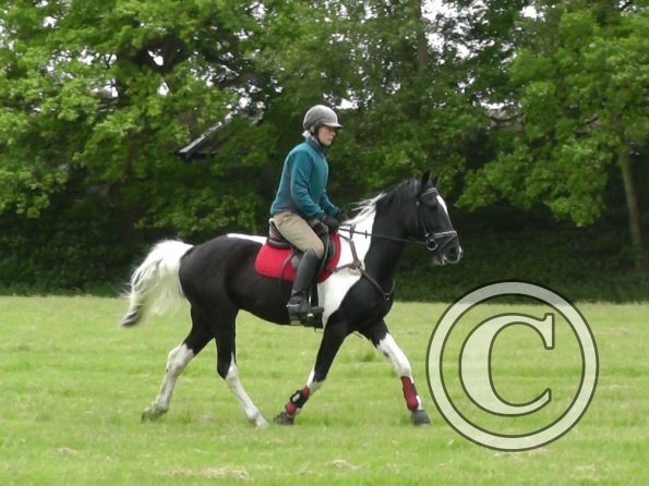 06-12-2013_115544(1)