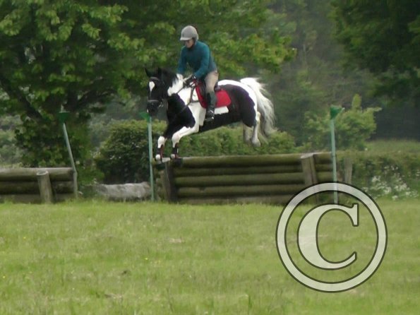 06-12-2013_120926(1)