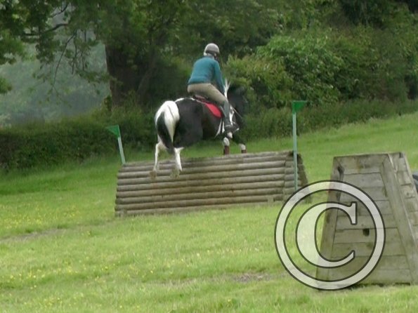 06-12-2013_121116(1)