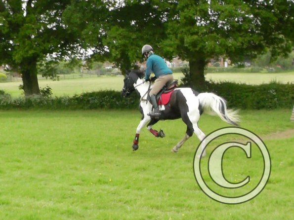 06-12-2013_121802(1)