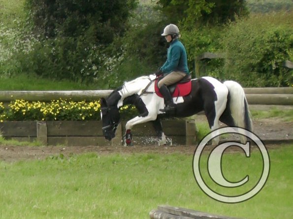 06-12-2013_121802(2)