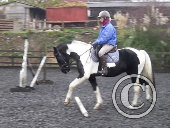 vlcsnap-2012-11-17-17h28m26s17